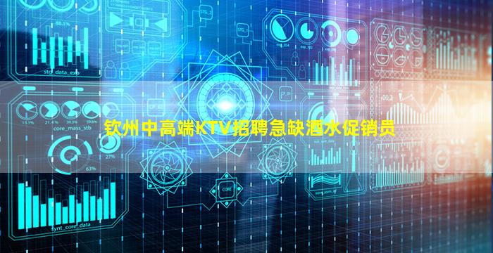 钦州中高端KTV招聘急缺酒水促销员